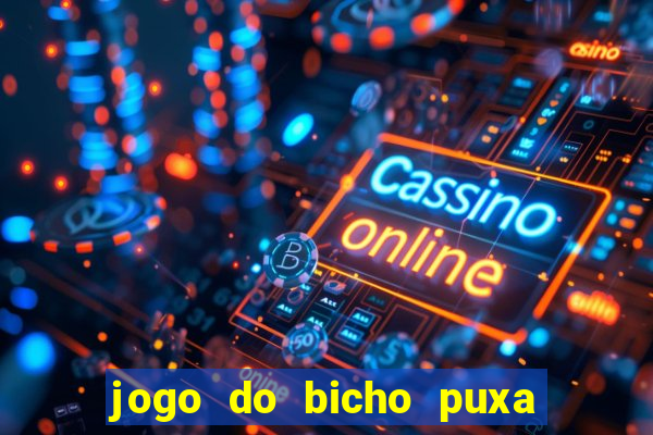 jogo do bicho puxa de dona maria